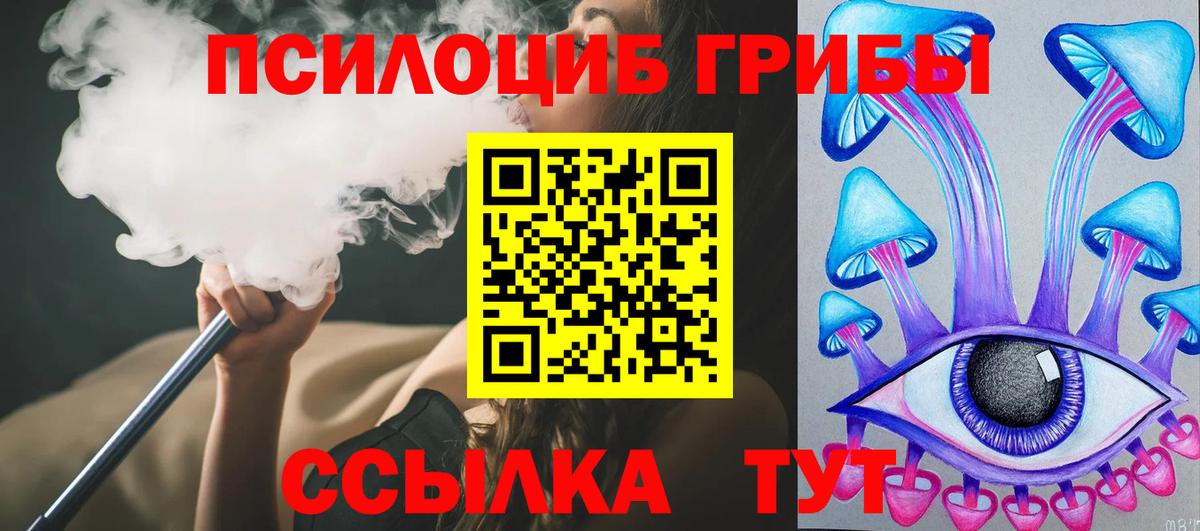 Павлово  Псилоцибиновые грибы Psilocybine cubensis  Вход с VPN 